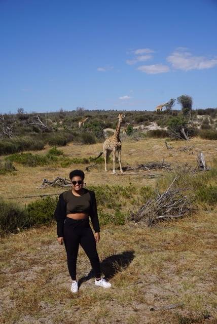 Madison Heggins, a Colgate alumna, stands in front of giraffes during her trip to Cape Cod.