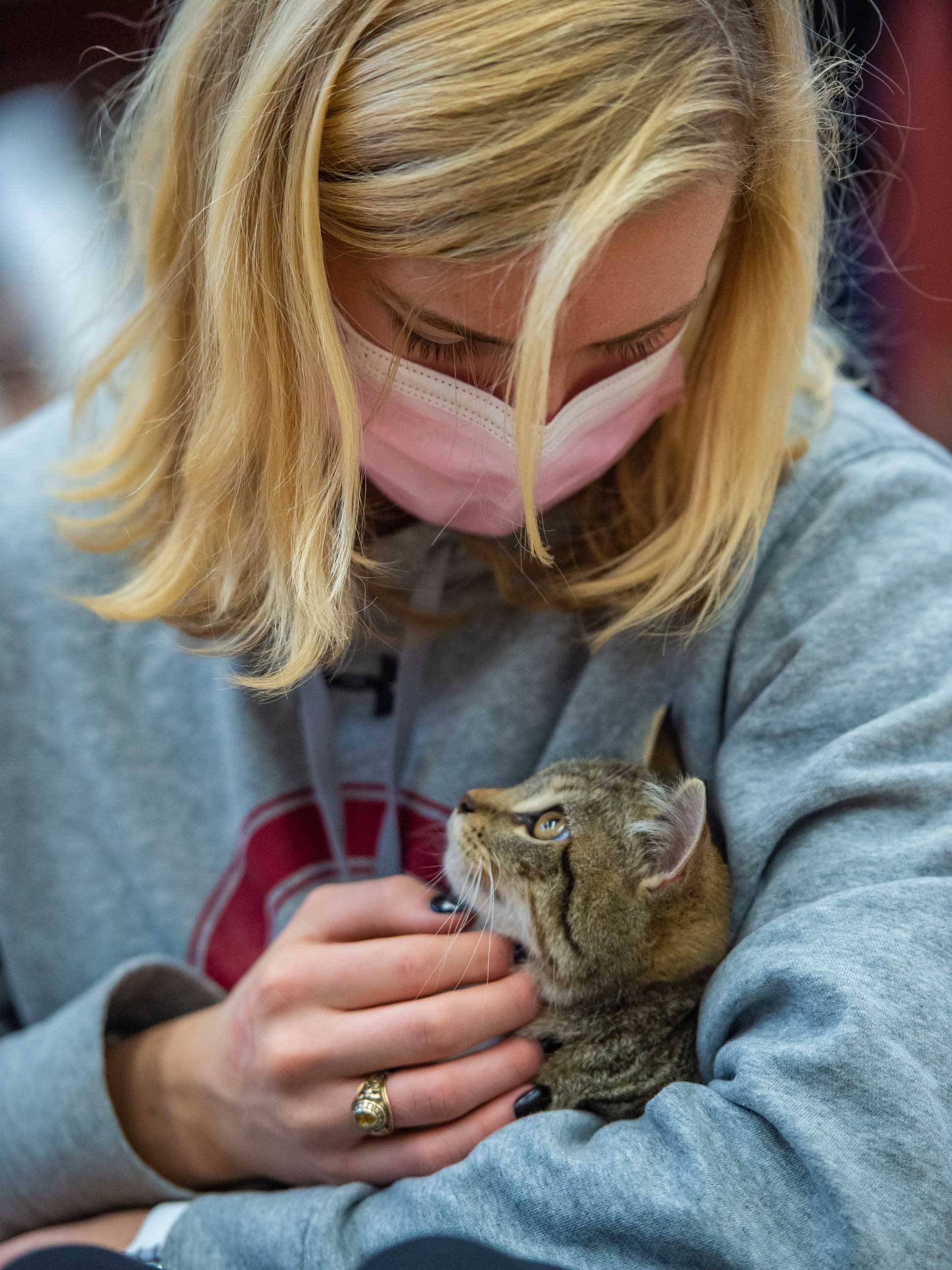 Colgate students volunteer in the cat room at the Chenango SPCA as part of the Day of Service during MLK Week