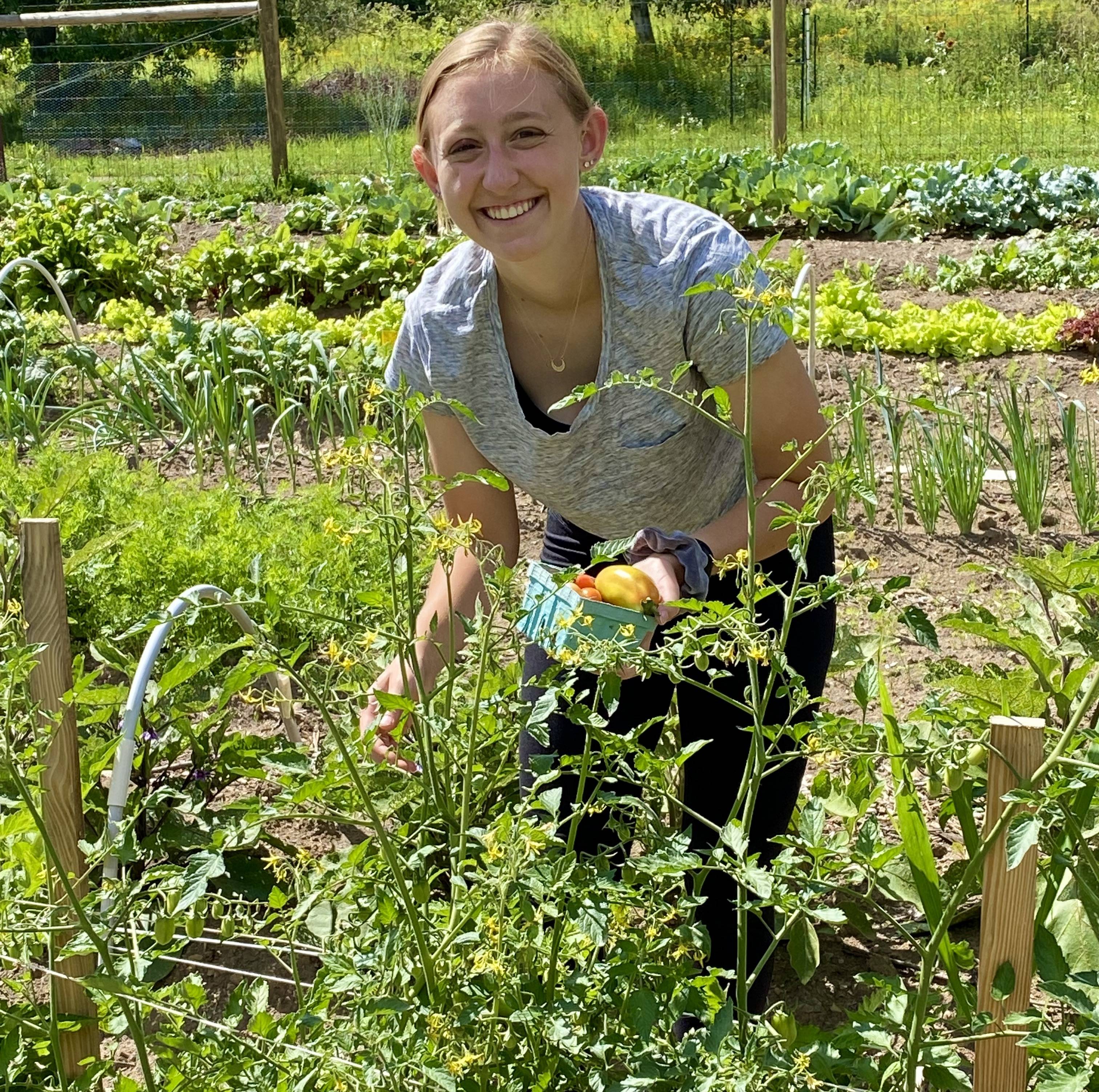 A student smiles at the camera while she places freshly-picked tomatoes in a container.