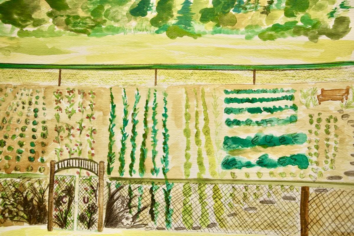 Watercolor painting of various garden rows surrounded by a fence.
