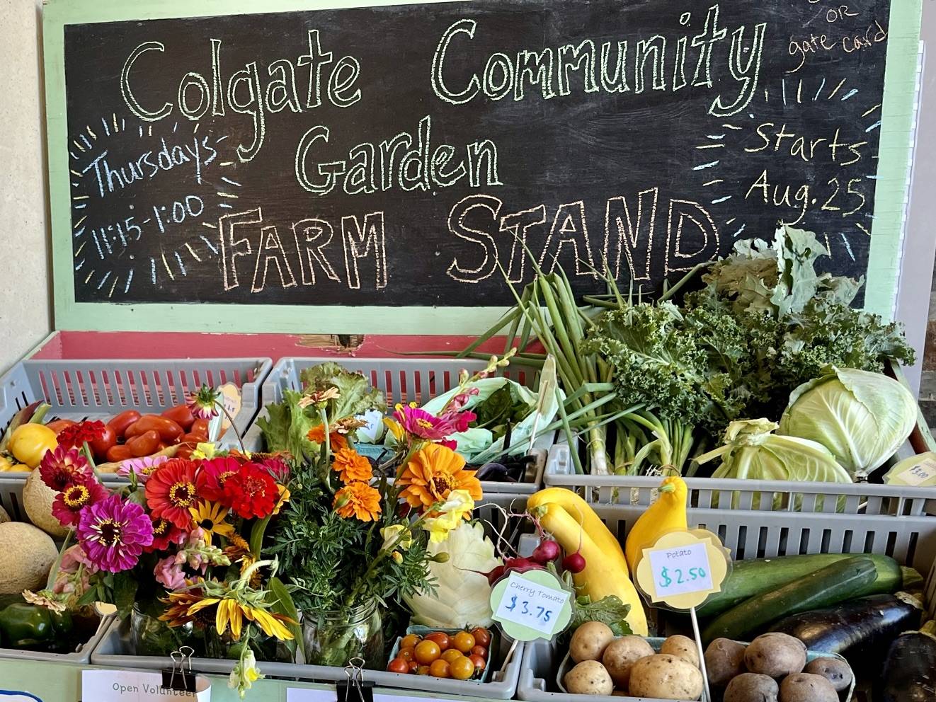 Fresh produce set up on the pale green farm stand. "Colgate Community Garden Farm Stand" is written in chalk on a blackboard behind the produce.