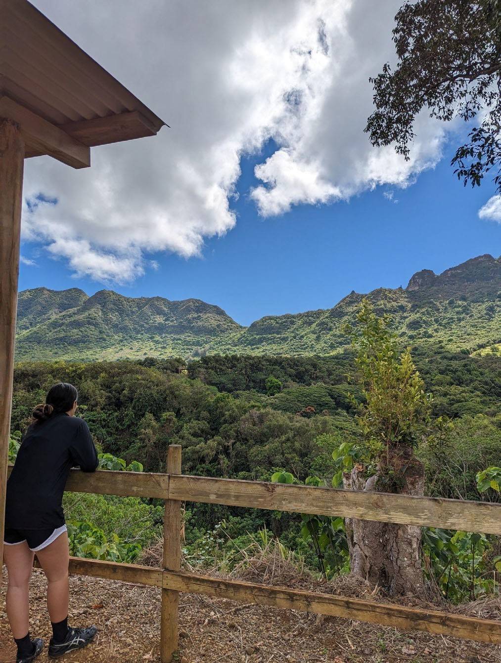 Views of Kaua’i