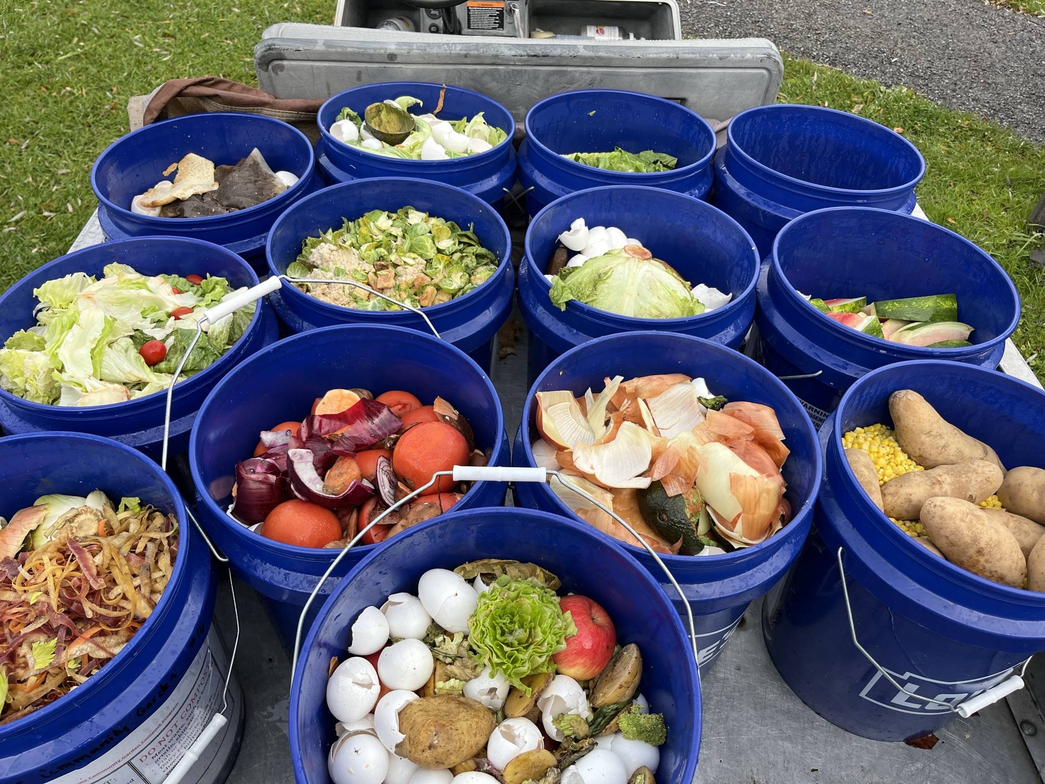 Several blue 5-gallon buckets full of compostable items, such as produce scraps, eggshells, etc.