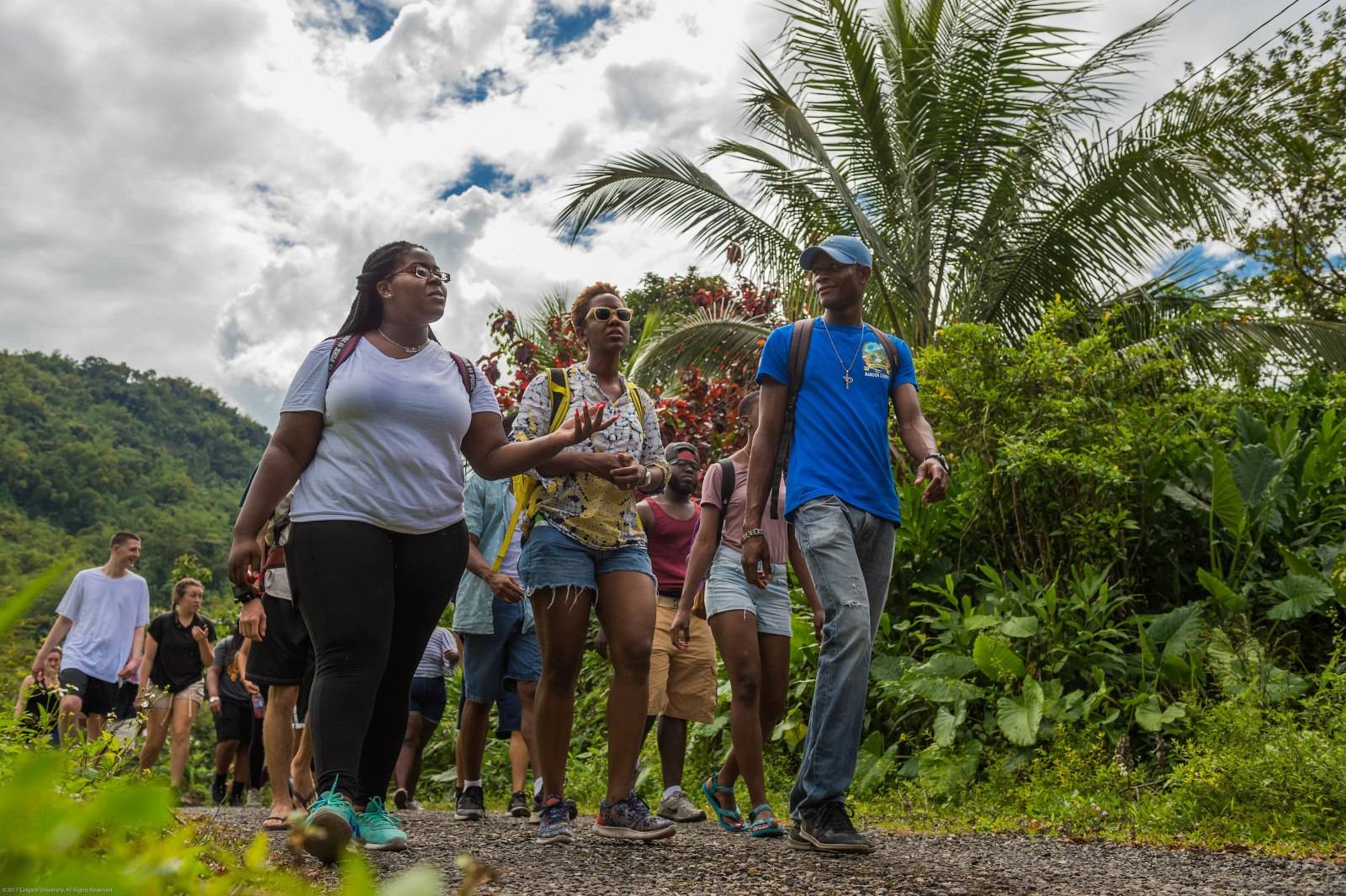 A group of students walk in Jamaican forest with a guide