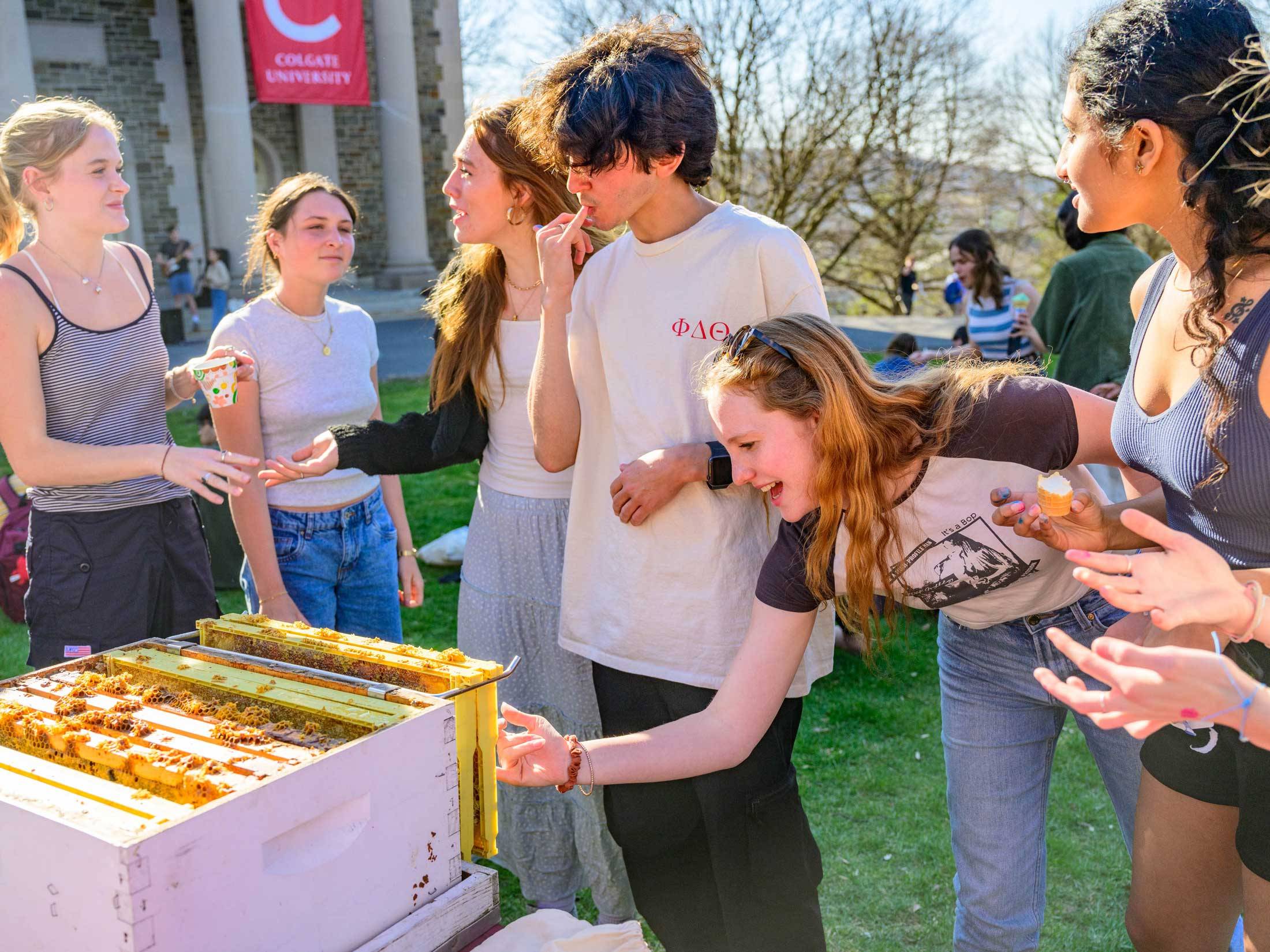 students taste honey from beehive