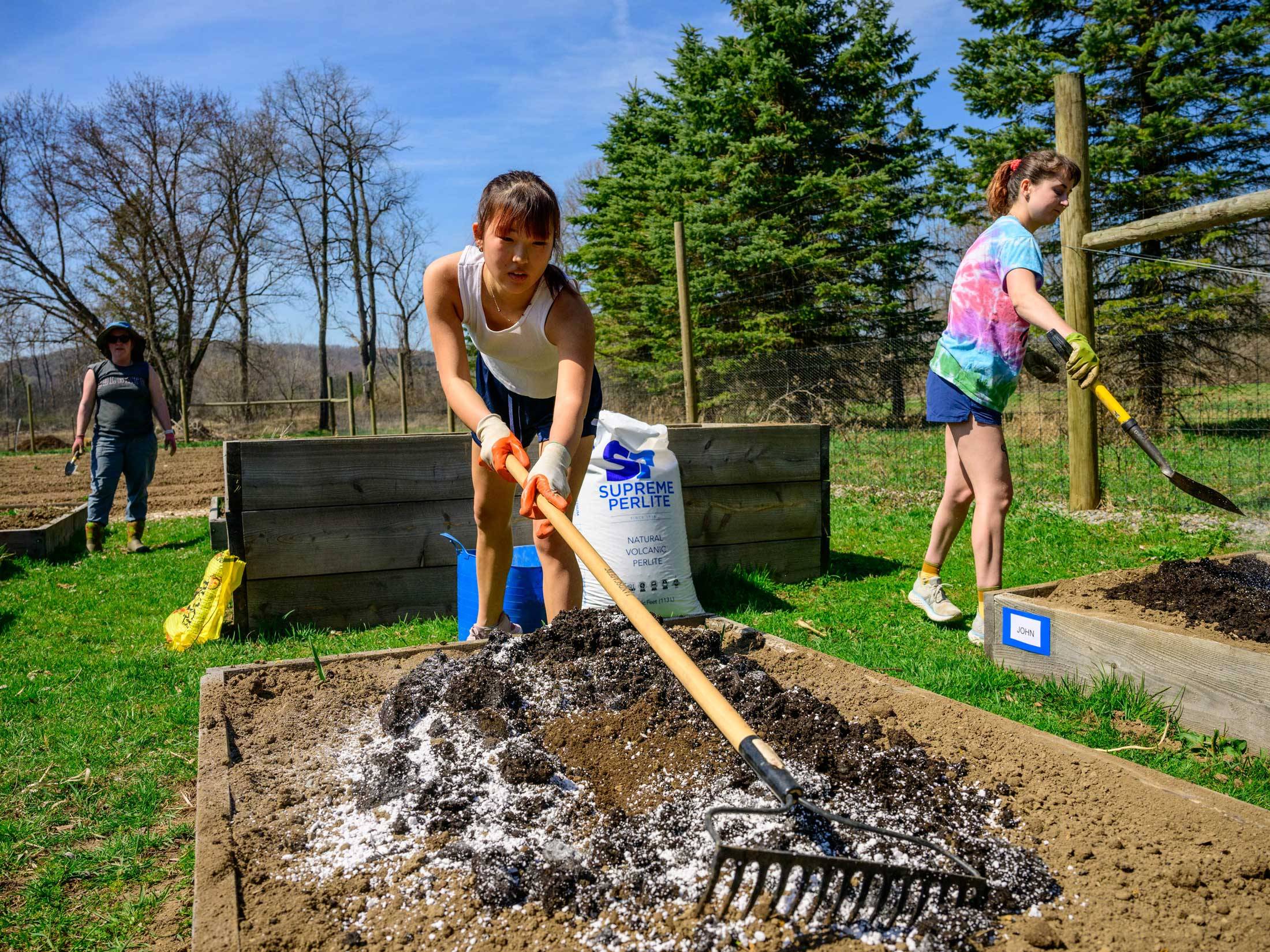 Student prepares raised gardening bed