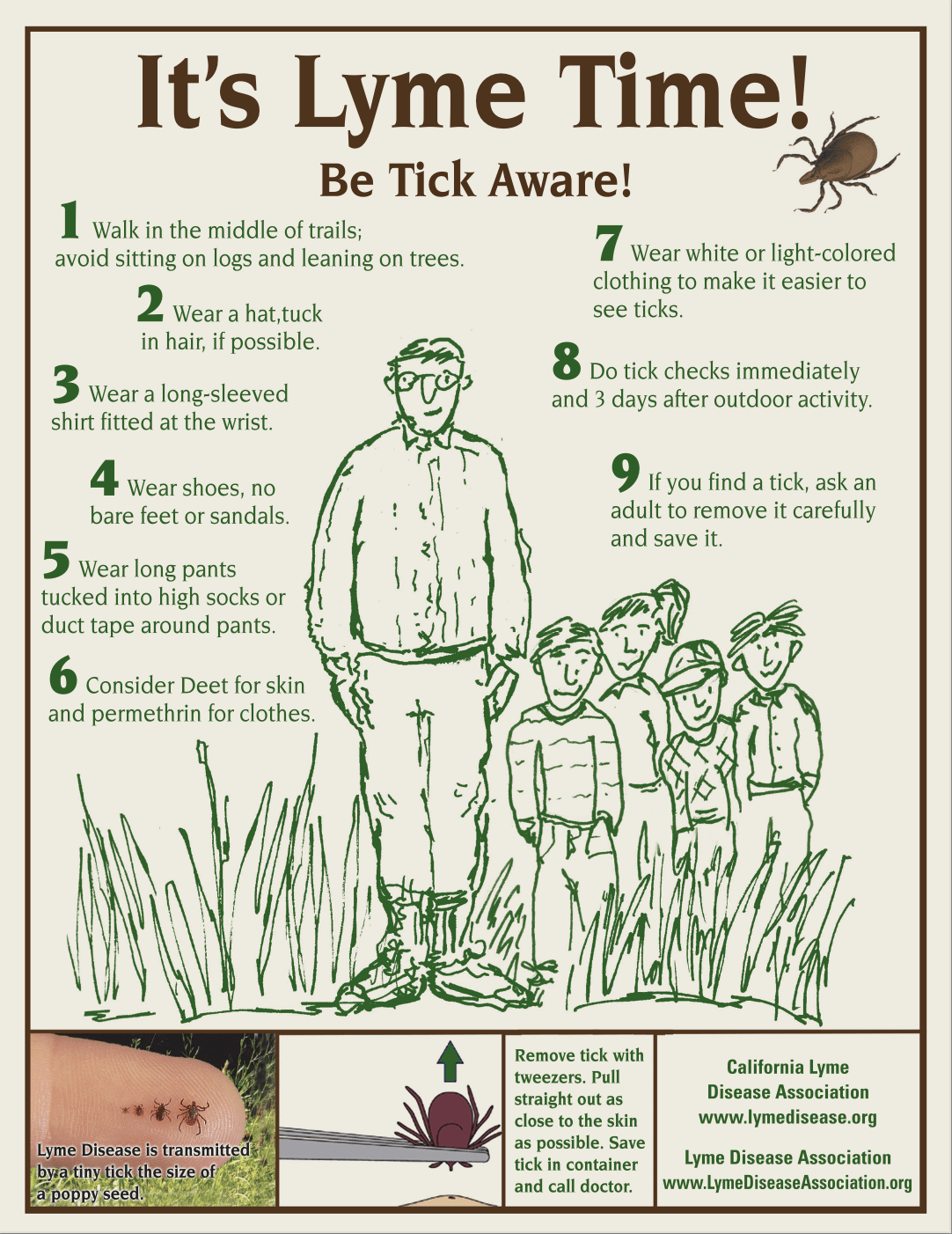 Lyme disease prevention graphic
