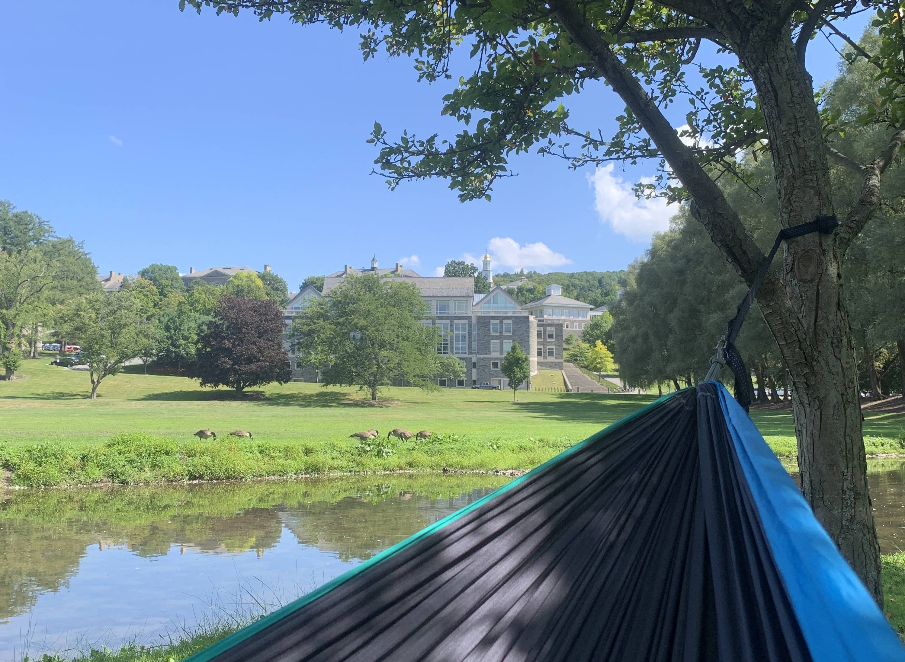 One of Hailey’s prime hammocking spots overlooking Taylor Lake and Case Library