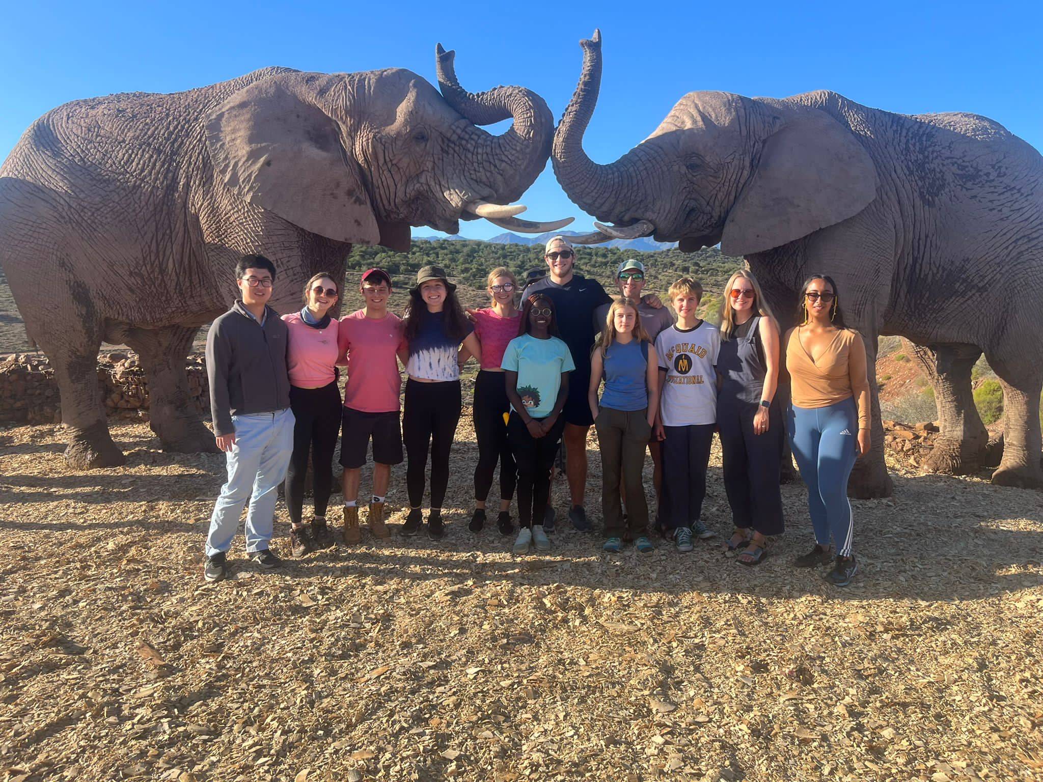 The Fall 2022 South African Study group on spring break at a private wildlife reserve (note: these elephants were orphaned by poachers and then rescued and raised on the reserve, so they can’t be released).