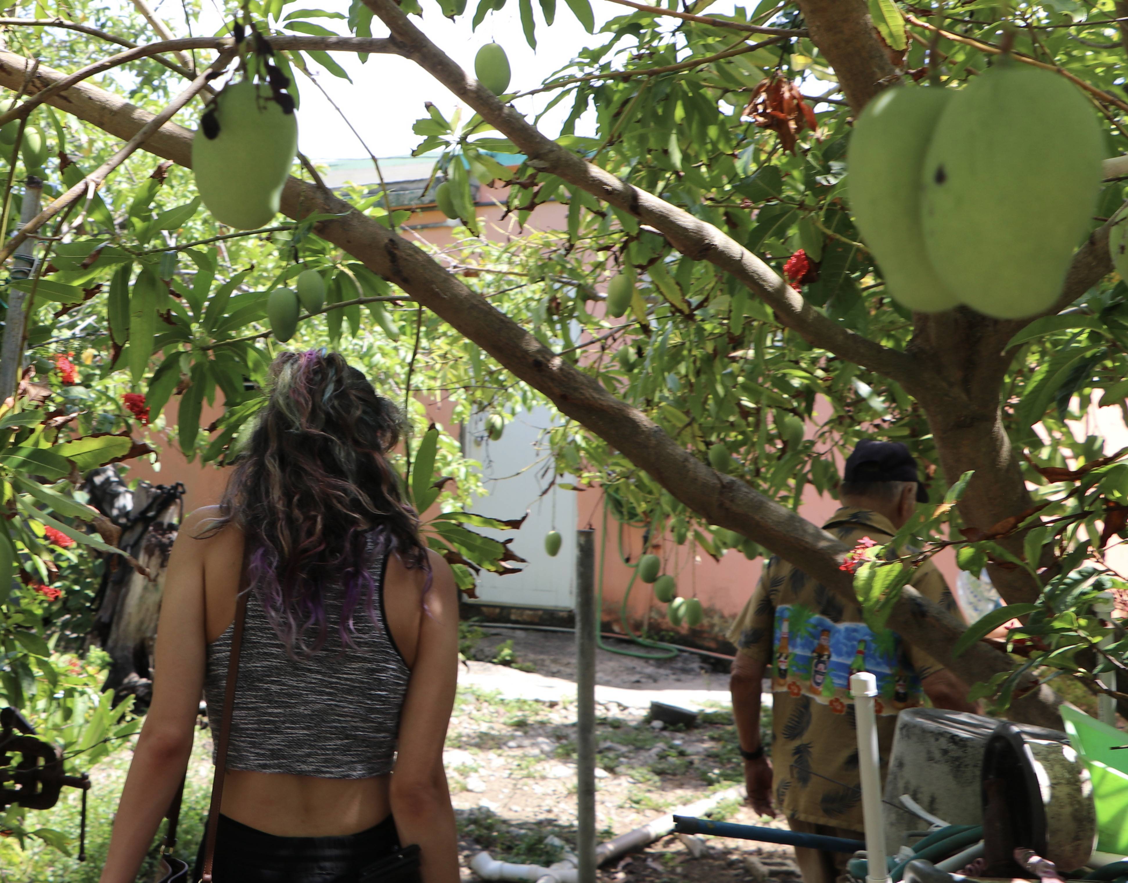 Teófilo “Fily” Bermúdez showing Jorge and Ariana Arraiza around the backyard of his house