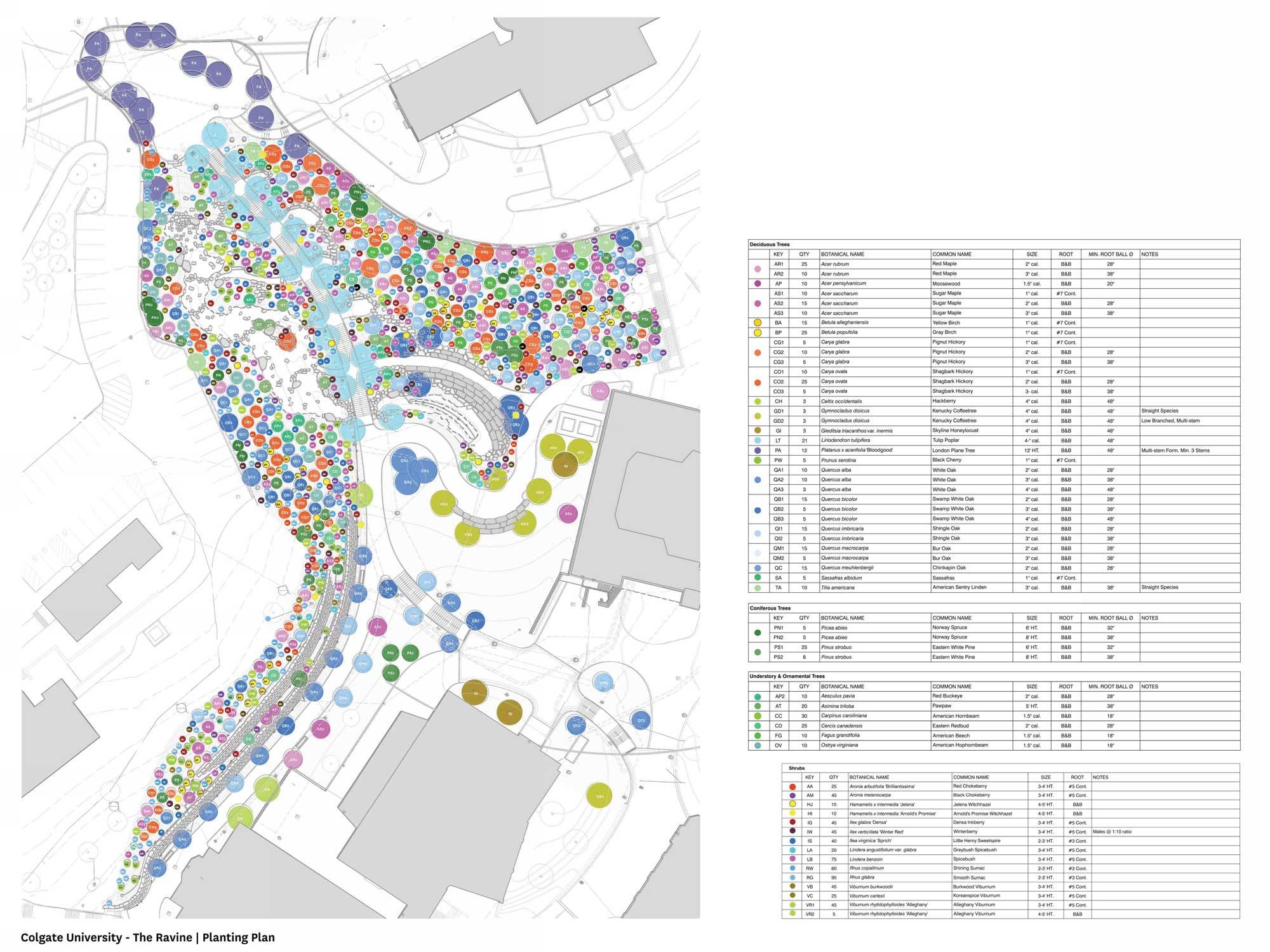 A map showing locations of each tree, shrub, and planting in the project.