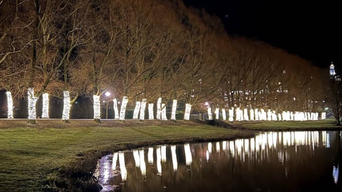 The moonlight on Willow Path