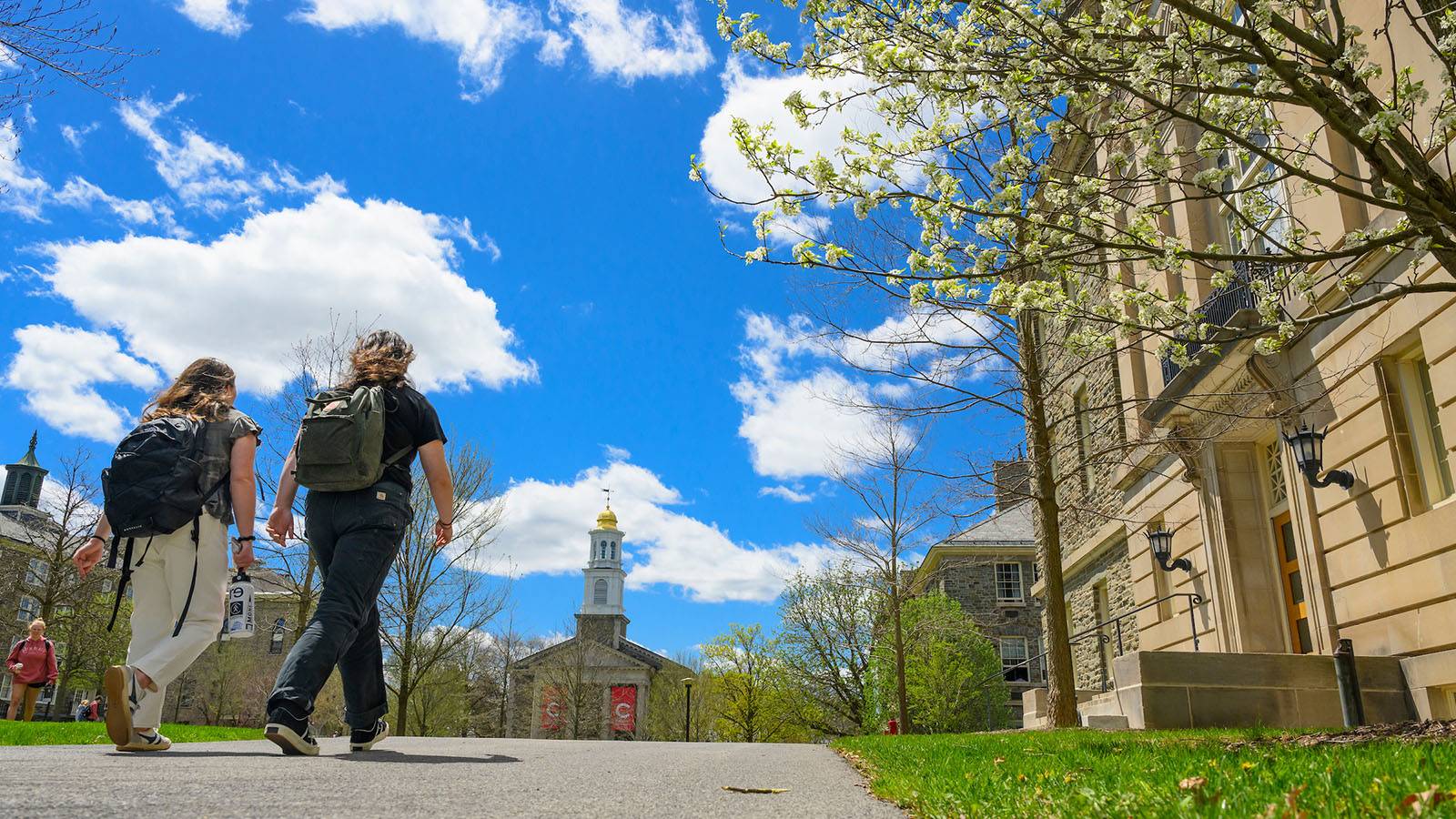 Students walk through the Academic Quad