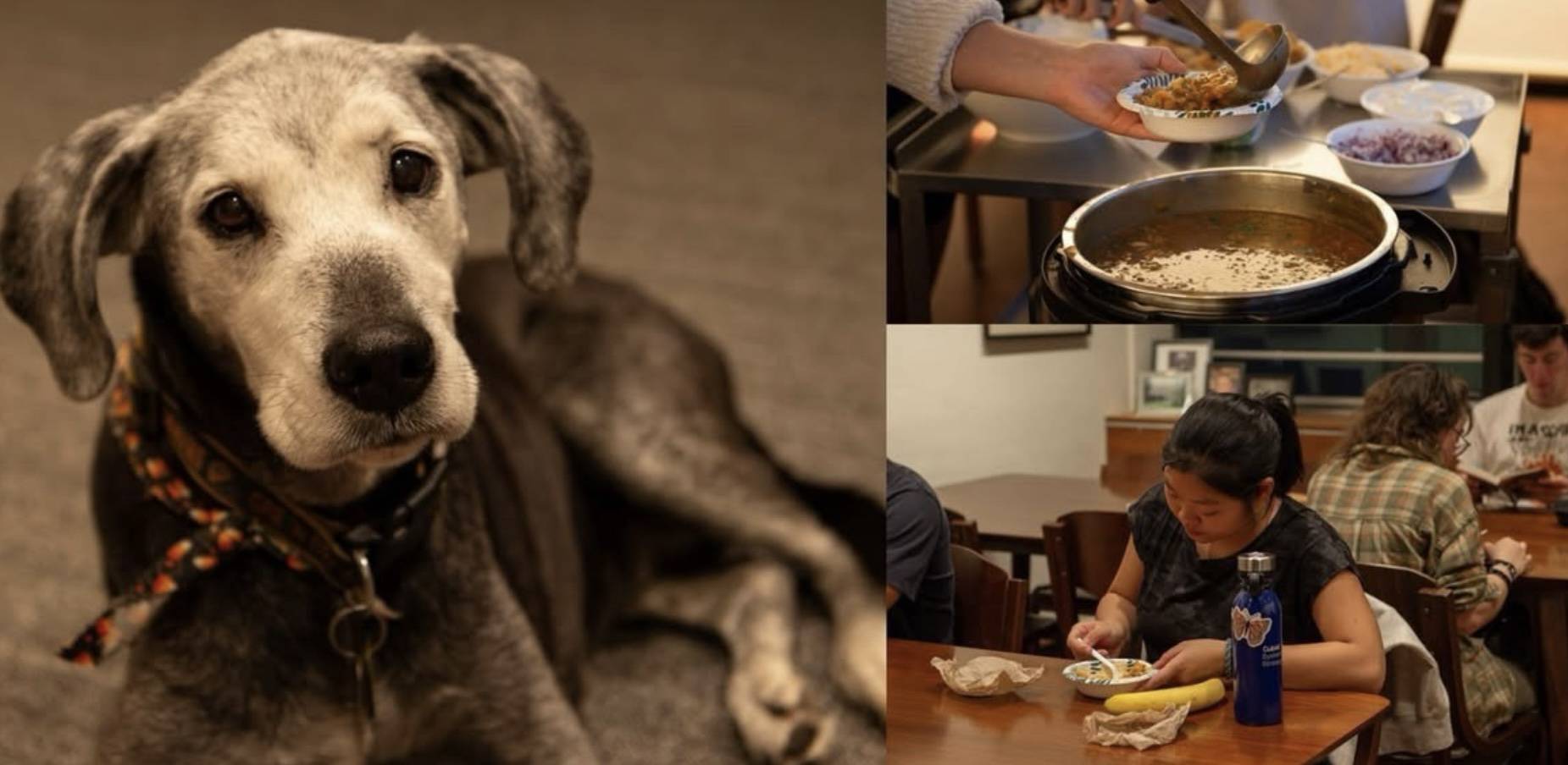 Chapel House's weekly Chili with Lily event