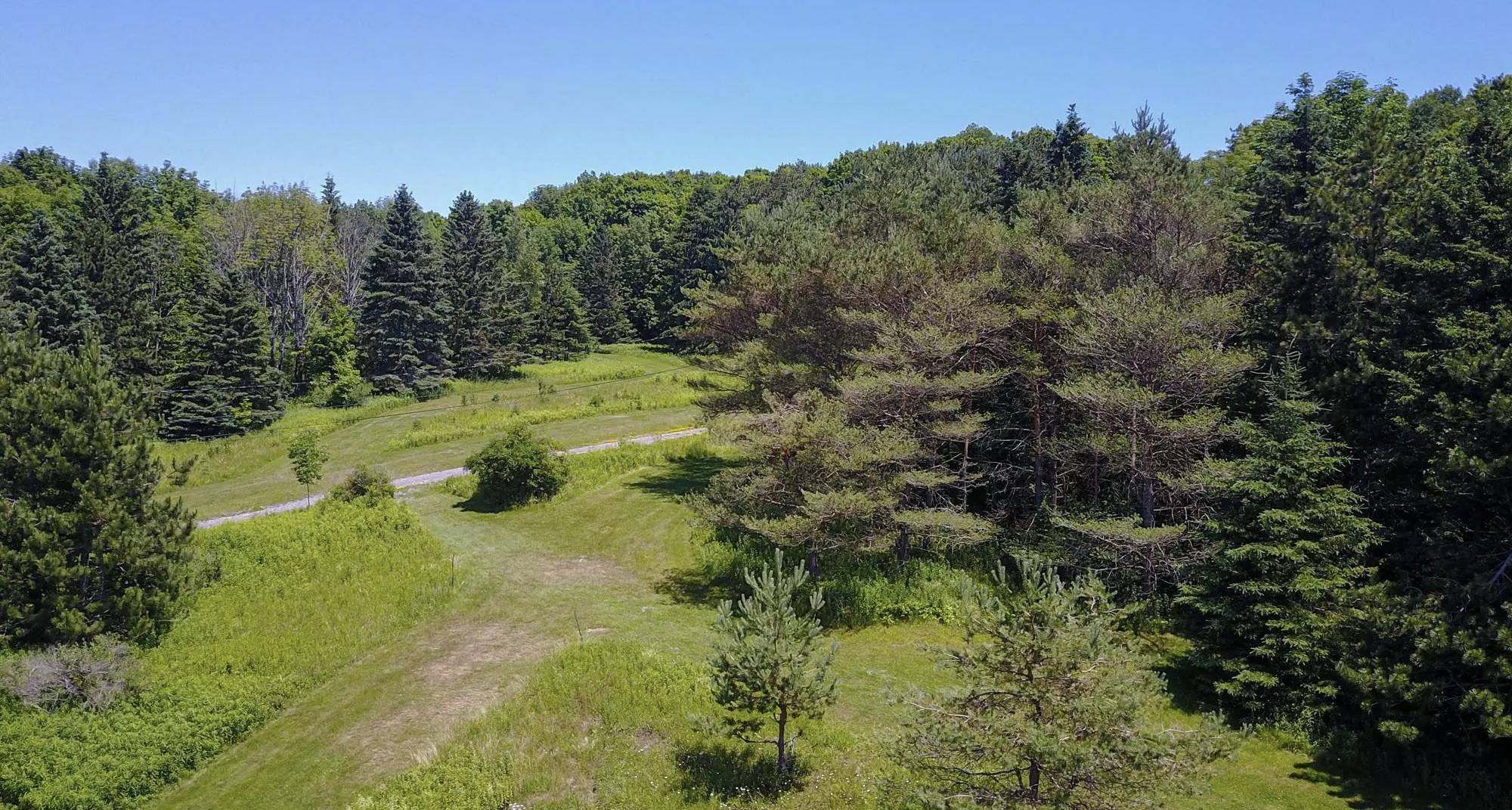 The hiking trails behind campus