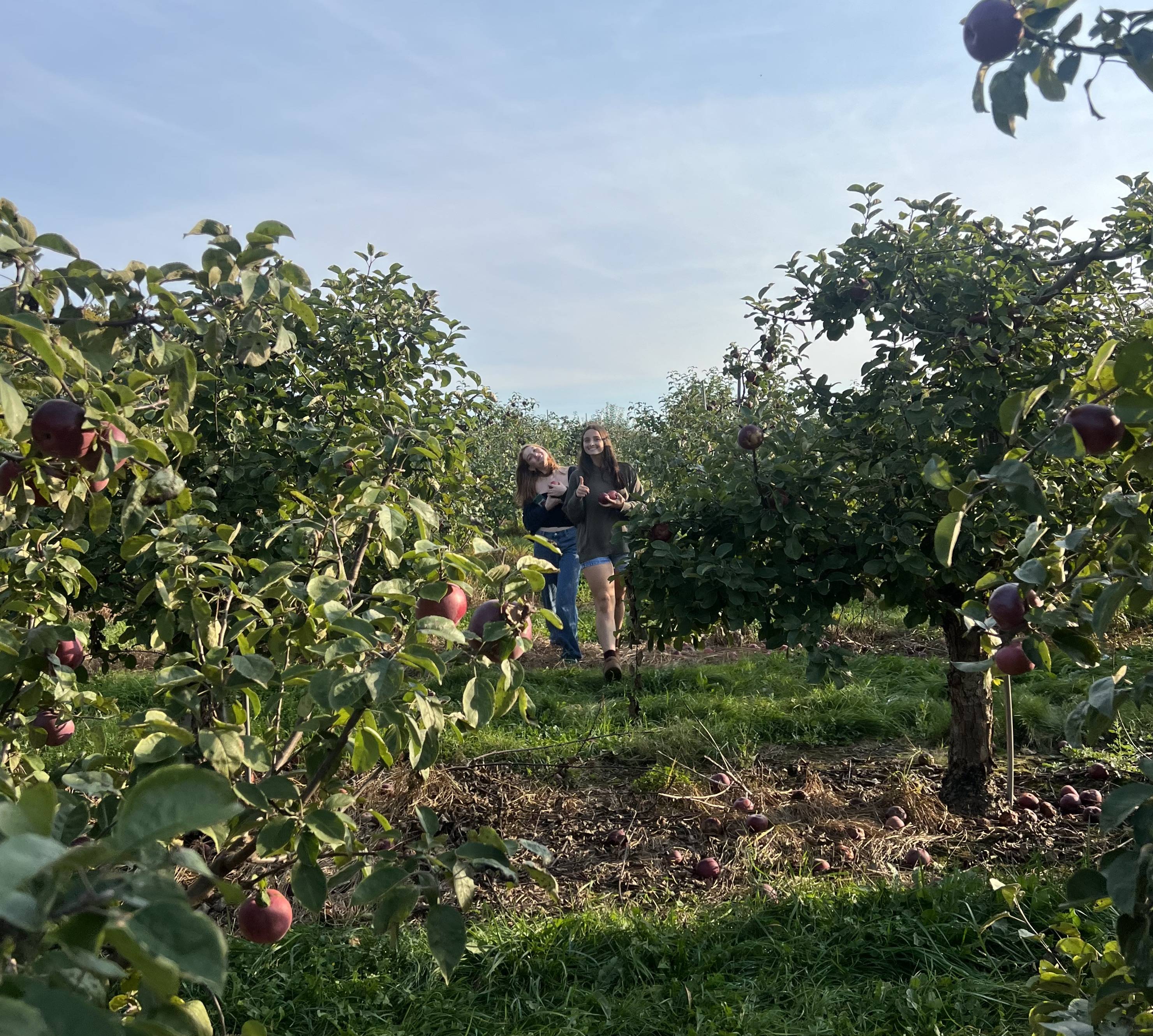 Katherine apple picking with friends