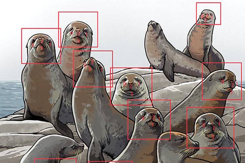 An illustration of AI facial recognition analyzing seals