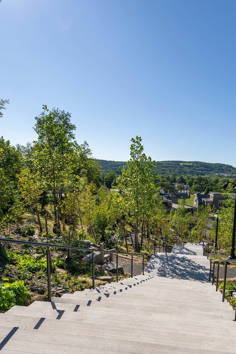 A view down Peter's Glen looking down the stairs