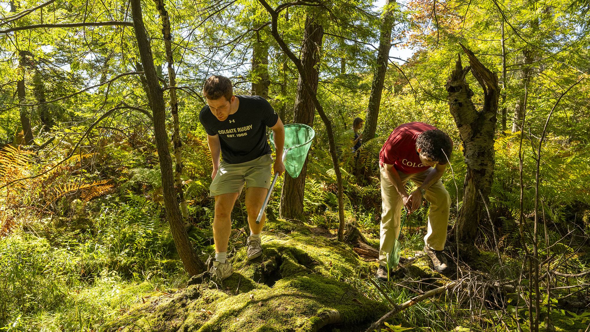 Timothy McCay’s Vertebrate Zoology course