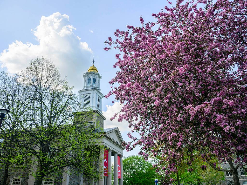 New buds bloom as spring returns to the hill.