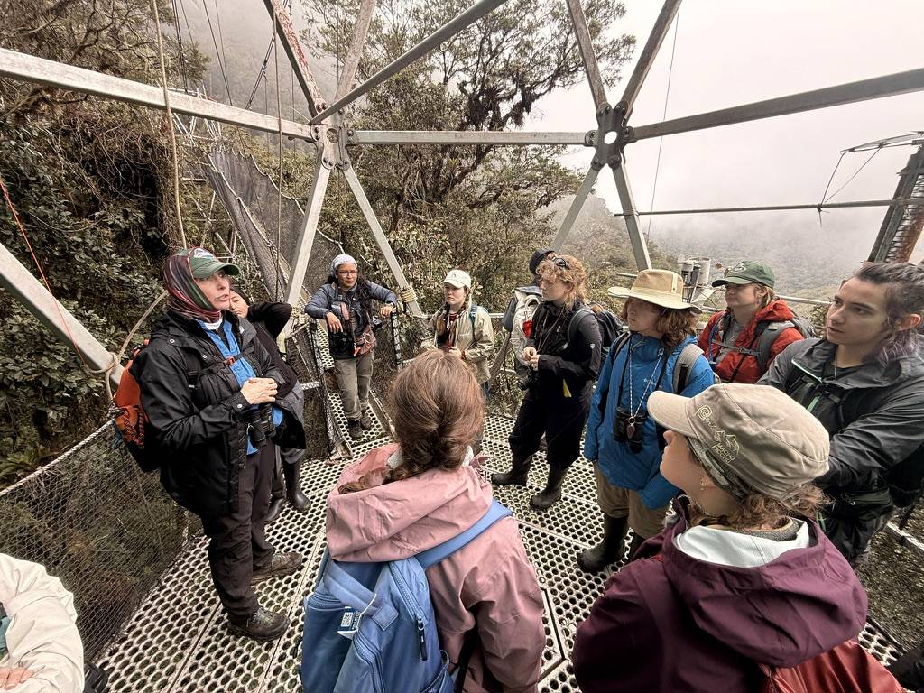 Professor Catherine Cardelús speaks with students during fieldwork in Peru’s misty rainforests.