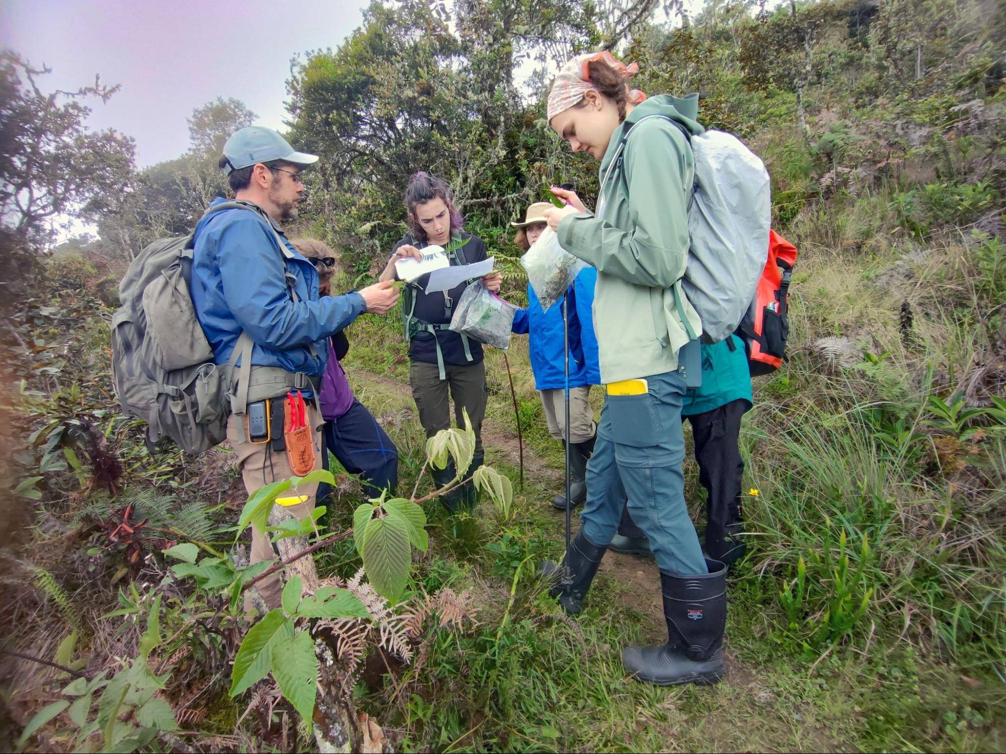 Professor Eddie Watkins analyzes plant samples with students on-site