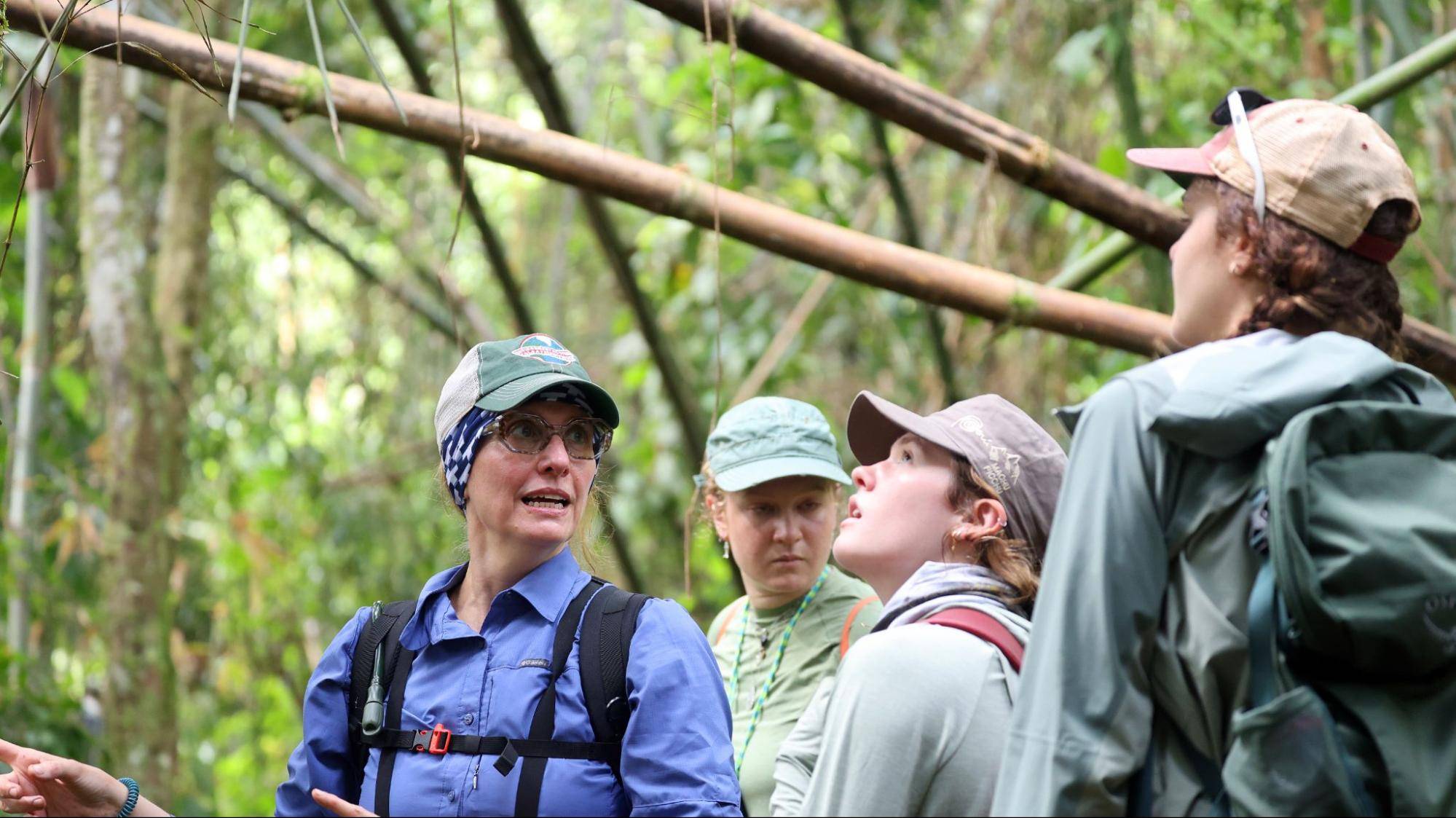 Professor Catherine Cardelús guides students through a walk in the Peruvian rainforest. 
