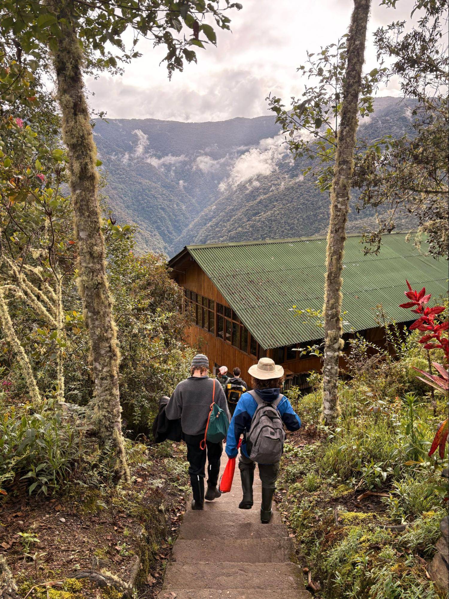 Students descend a forest trail laid with stone slabs