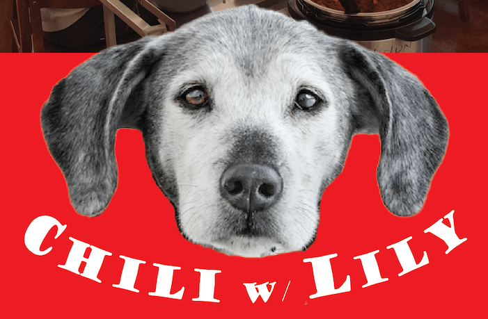 Picture of Lily the therapy dog