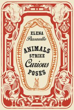 Book cover of Animals Strike Curious Poses