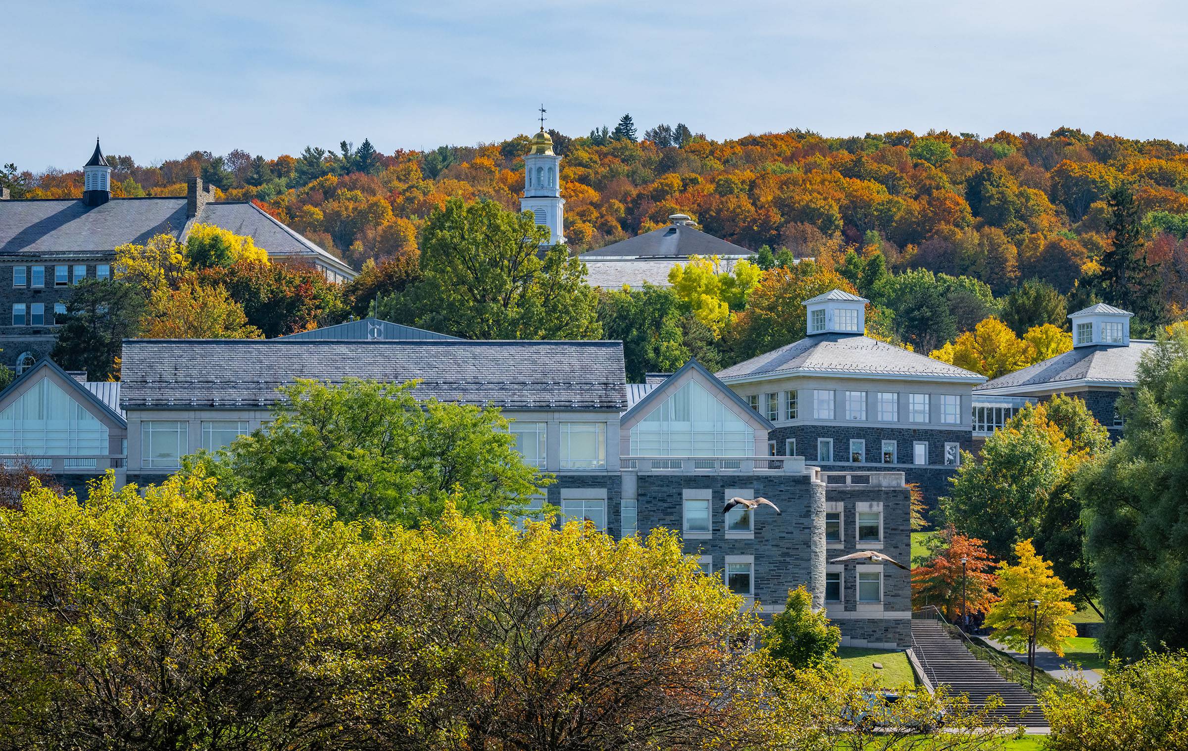 Colgate campus during early fall