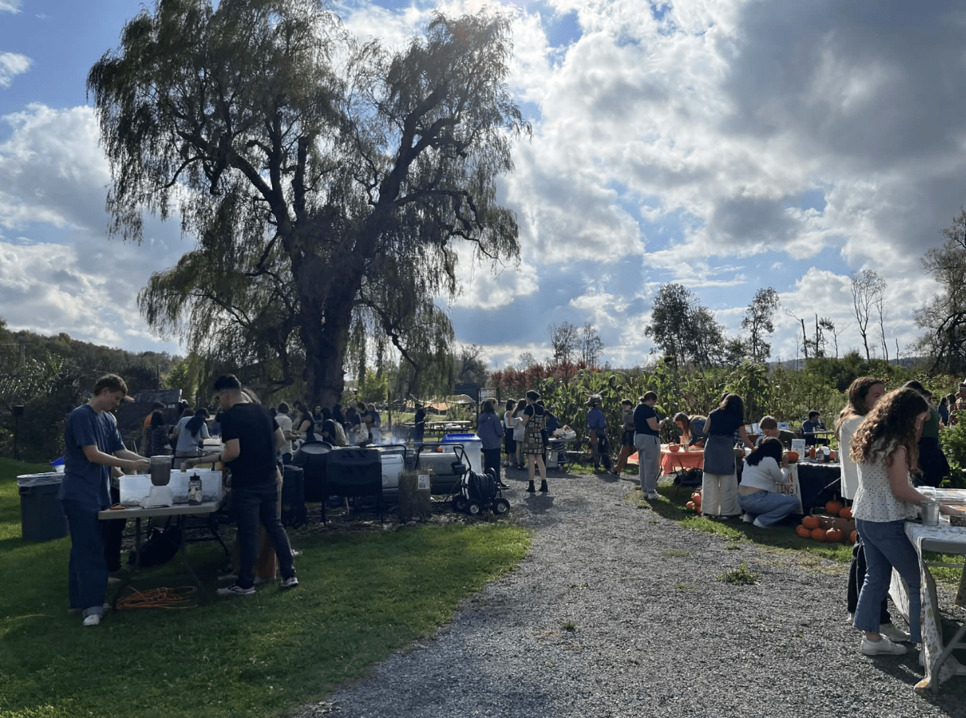 Photo of students exploring the Fall Harvest Festival