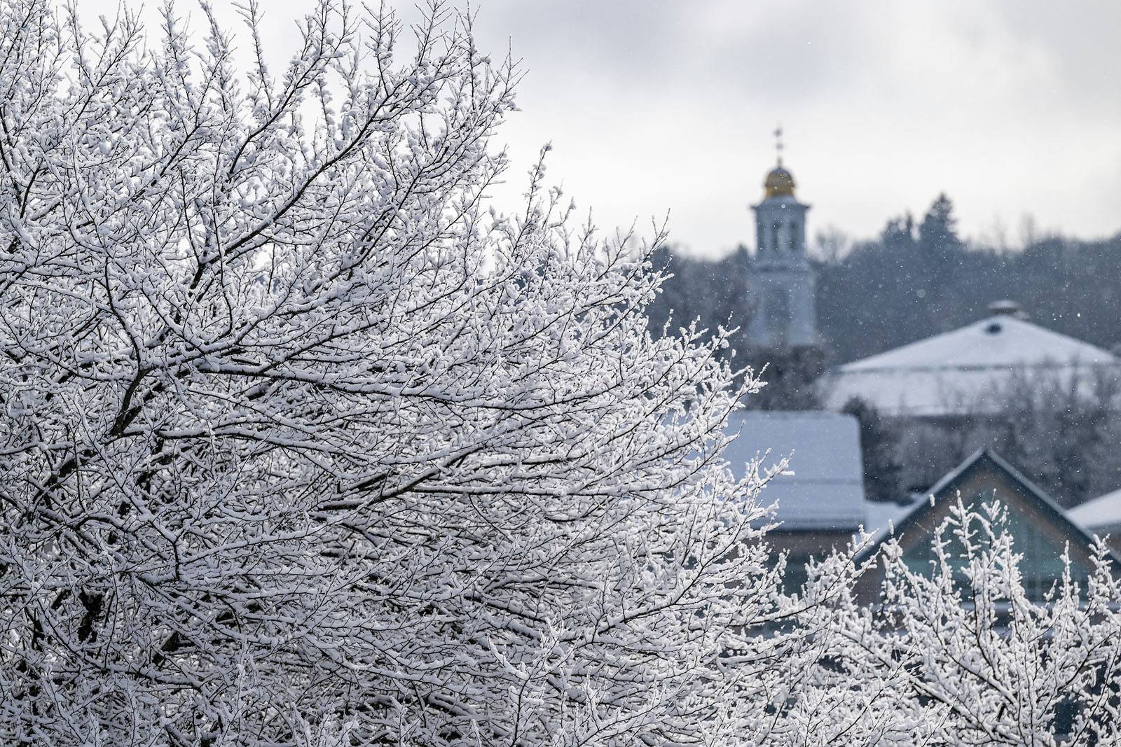 Ice on trees overlooking the Chapel