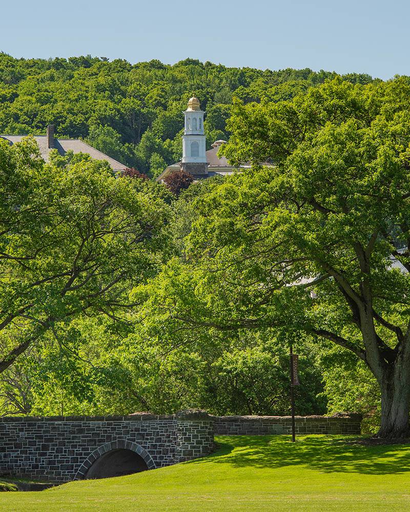A view of the cupola and Willow Path bridge