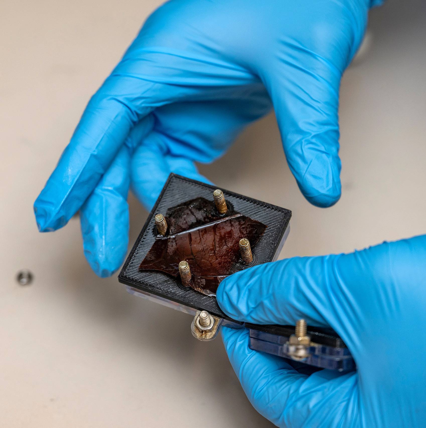The component is disassembled to show the leaf inside.