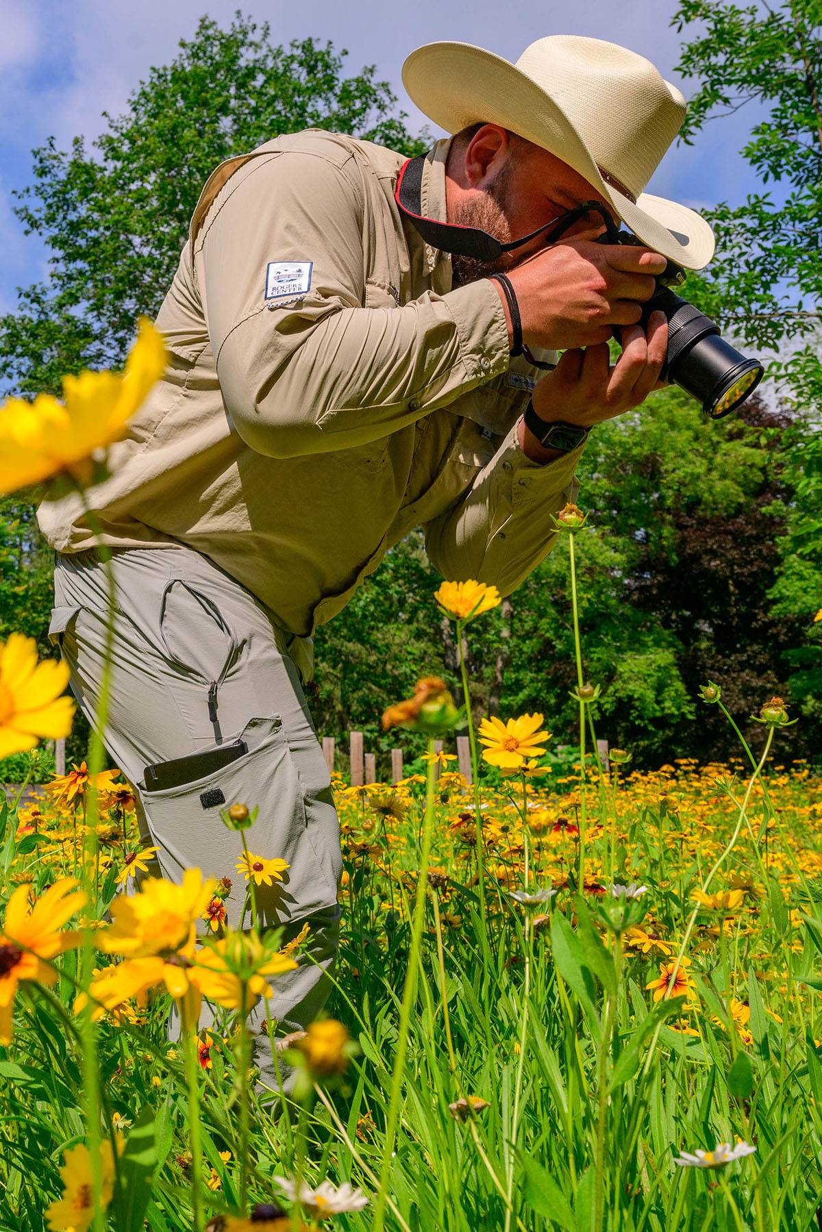 Matthew McGeary photographs bees in a wildflower field