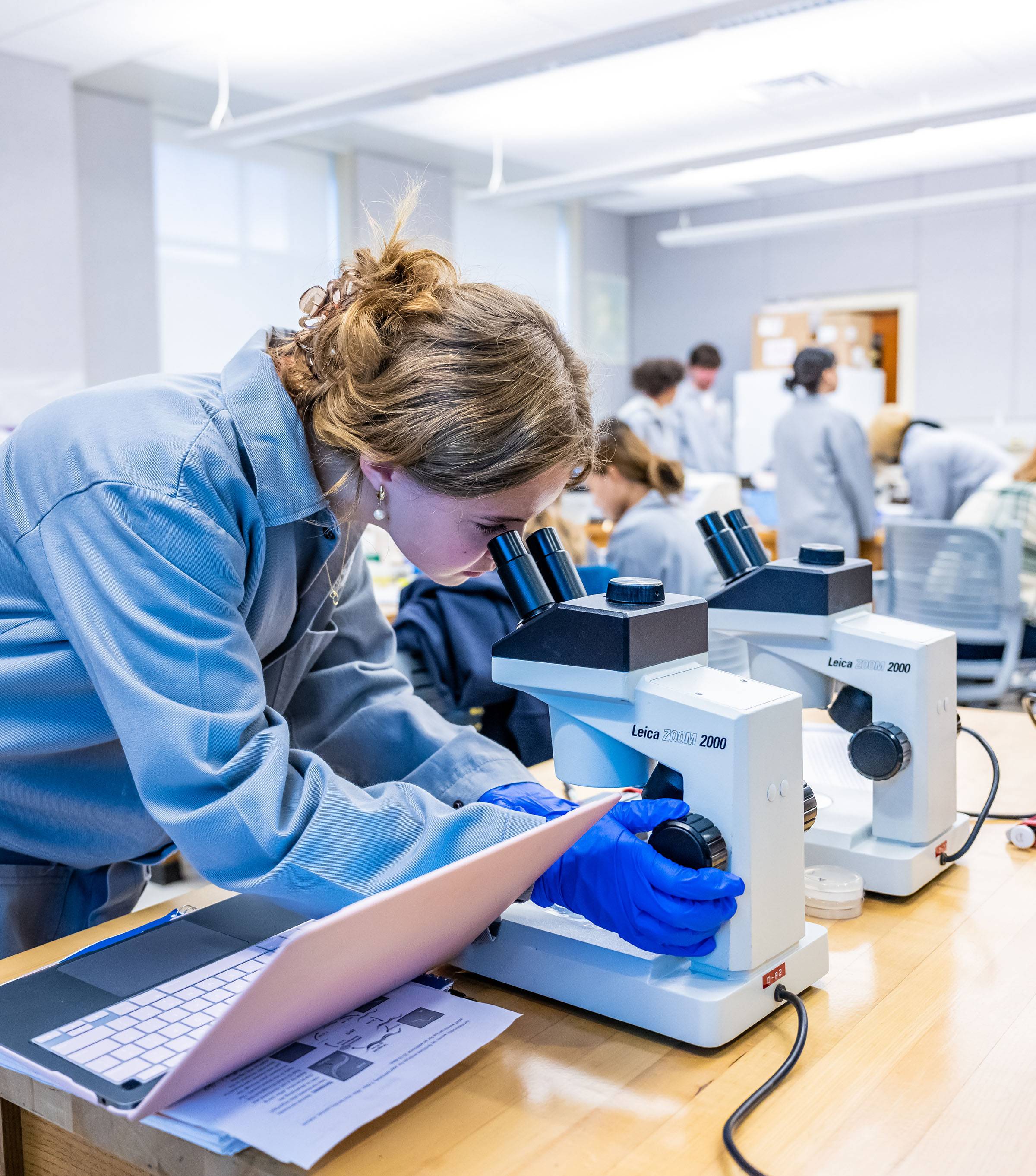 A woman looks into microscope