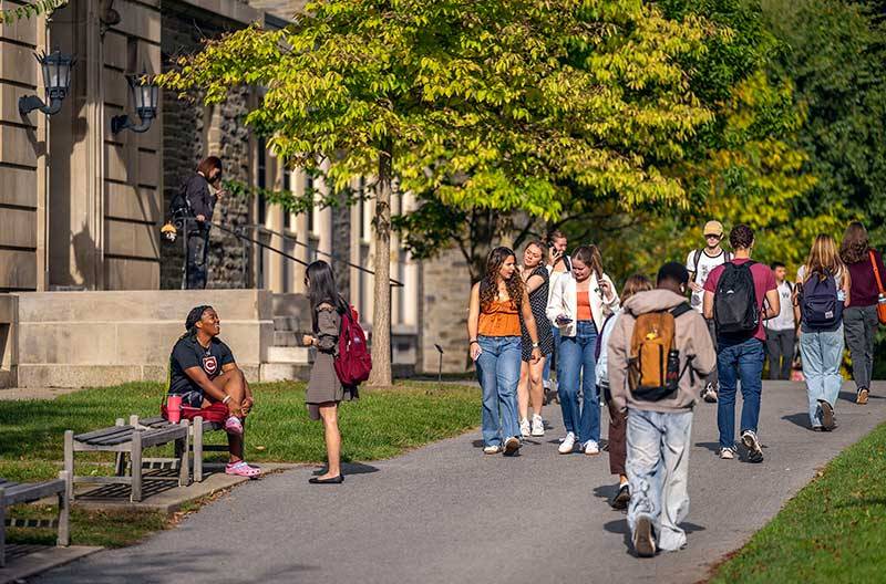 Students walk along the academic quad in the summer