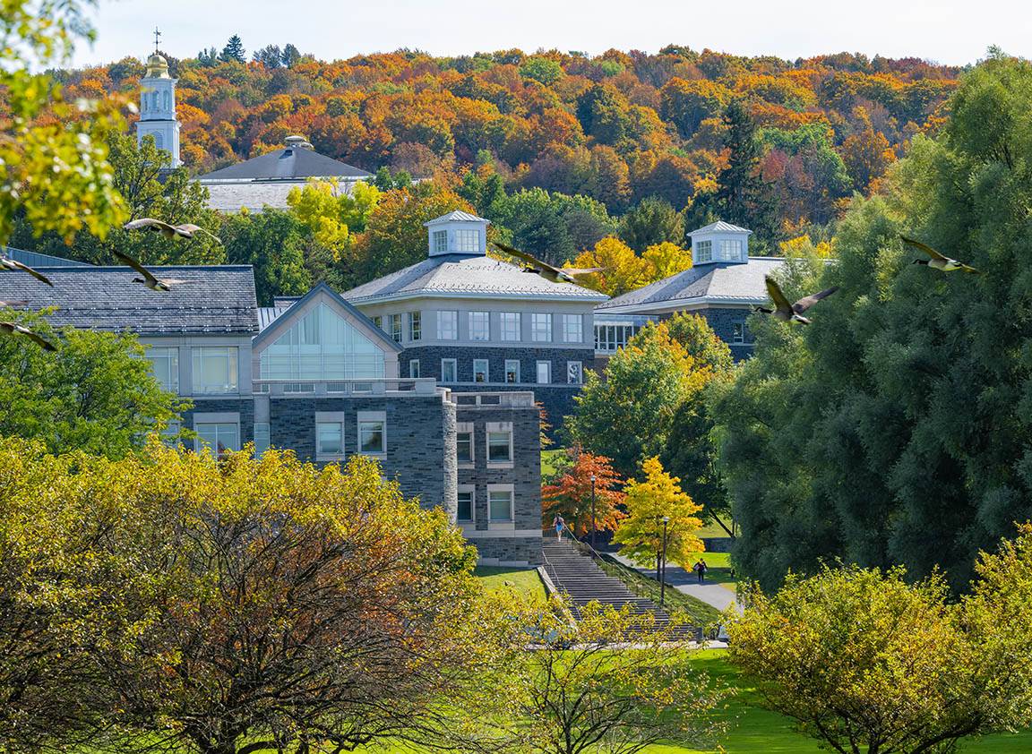 A scenic view of Case Library and the hills
