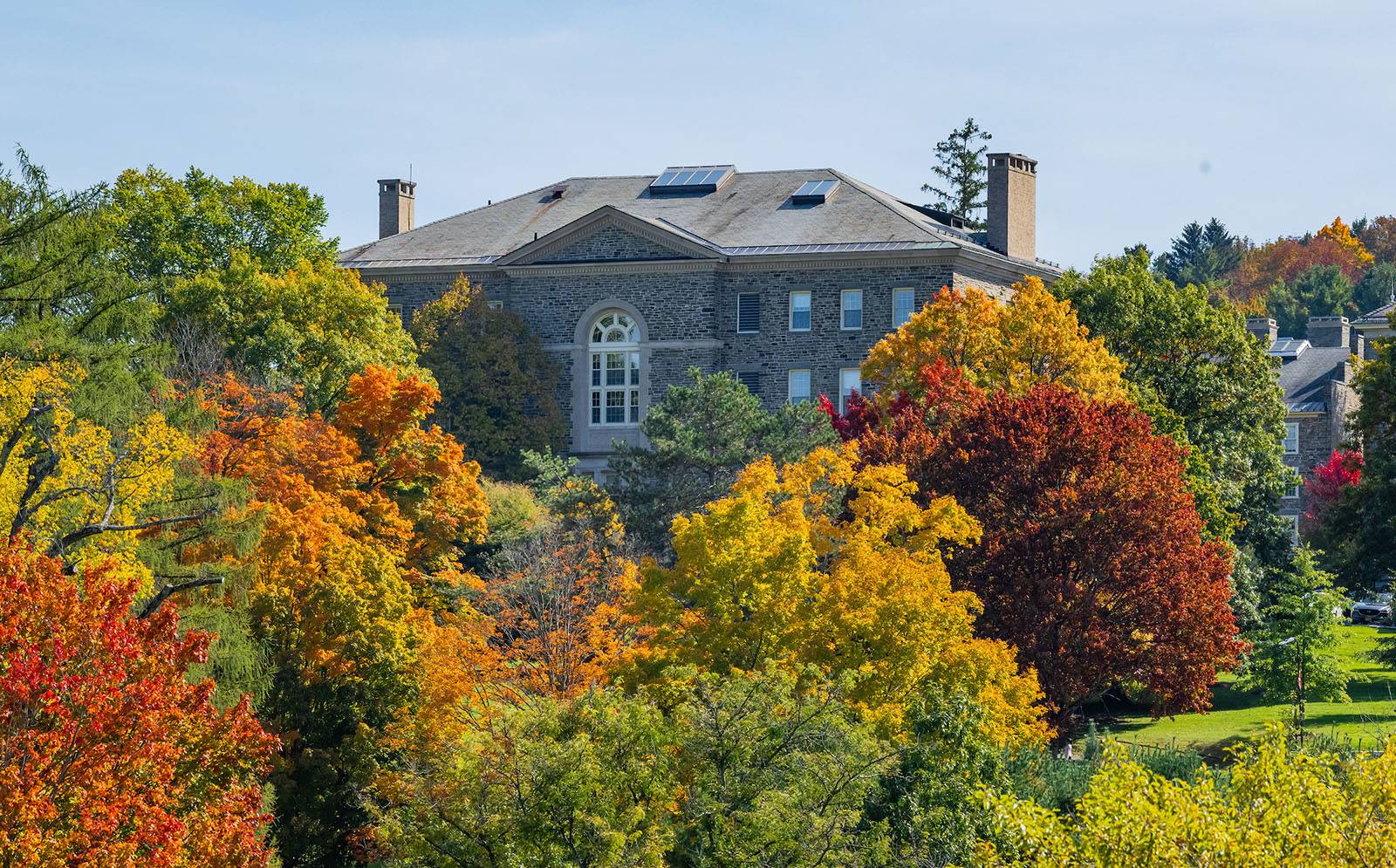 Leaves change colors near Lathrop Hall