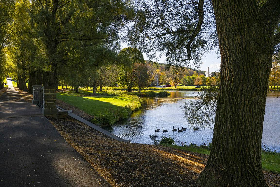 A view from Willow Path overlooking Taylor Lake