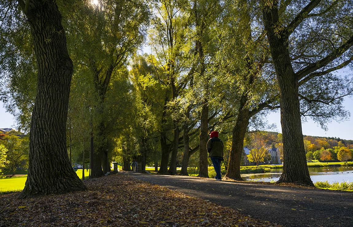 People walk along Willow Path