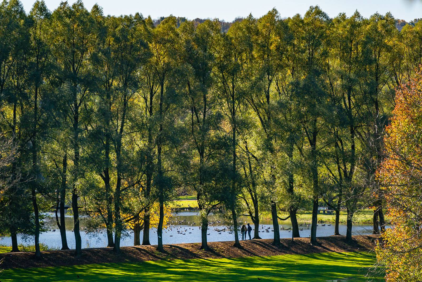 Two students walk along Willow Path