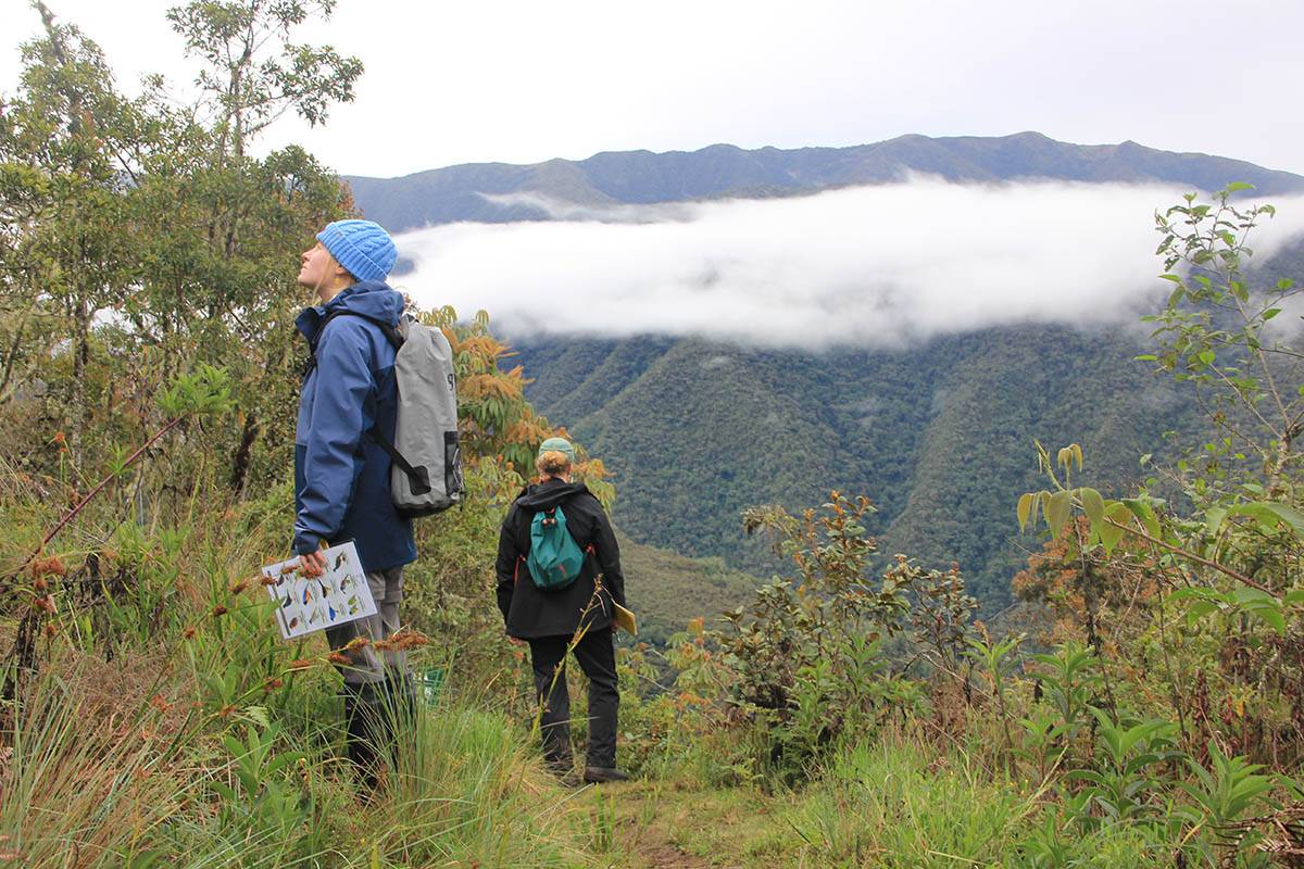 Lottie Allen Emerson looks for birds in the mountains