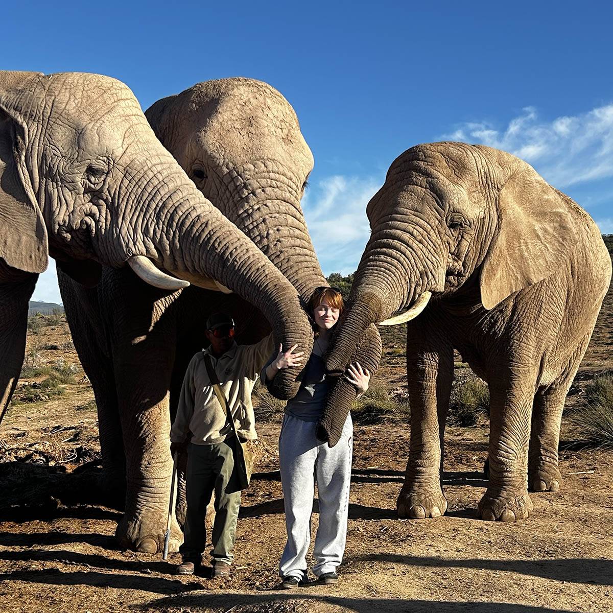 Niamh Fortuna in between three elephants