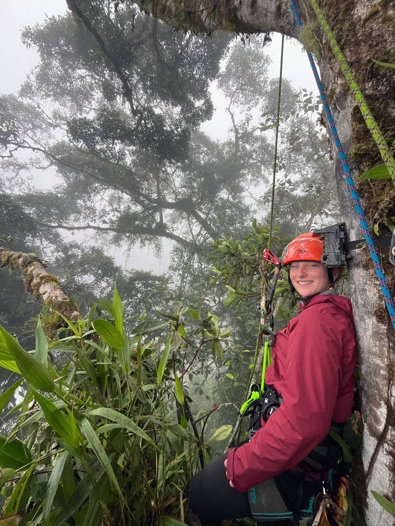 A student in a harness preparing to climb into trees