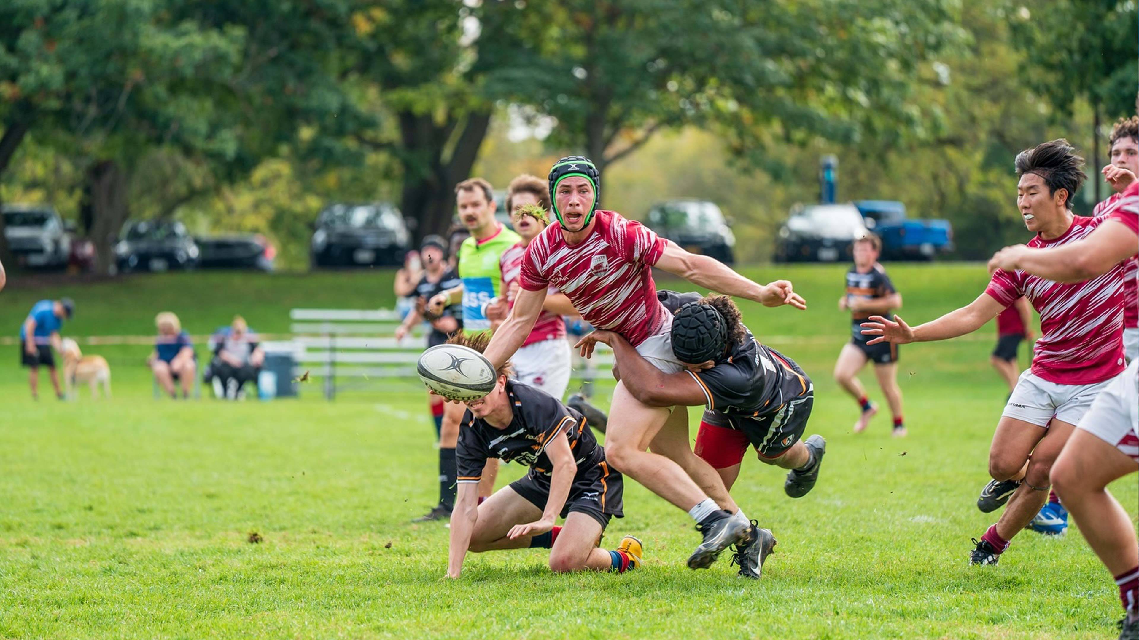 Men's Rugby
