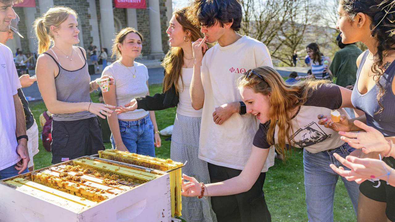 Student clubs and activities