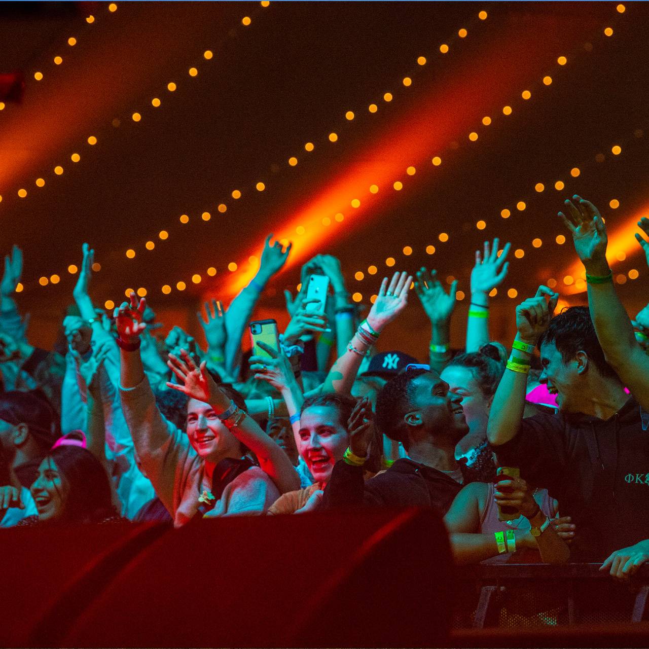 Concert crowd