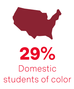 29% domestic students of color